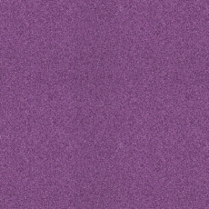 Пурпурная роза SSM008